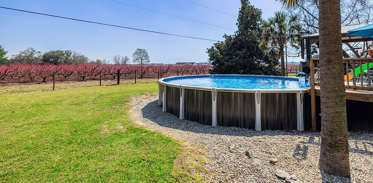 Featured image of the Corbin pool surrounded by palm trees and peach fields